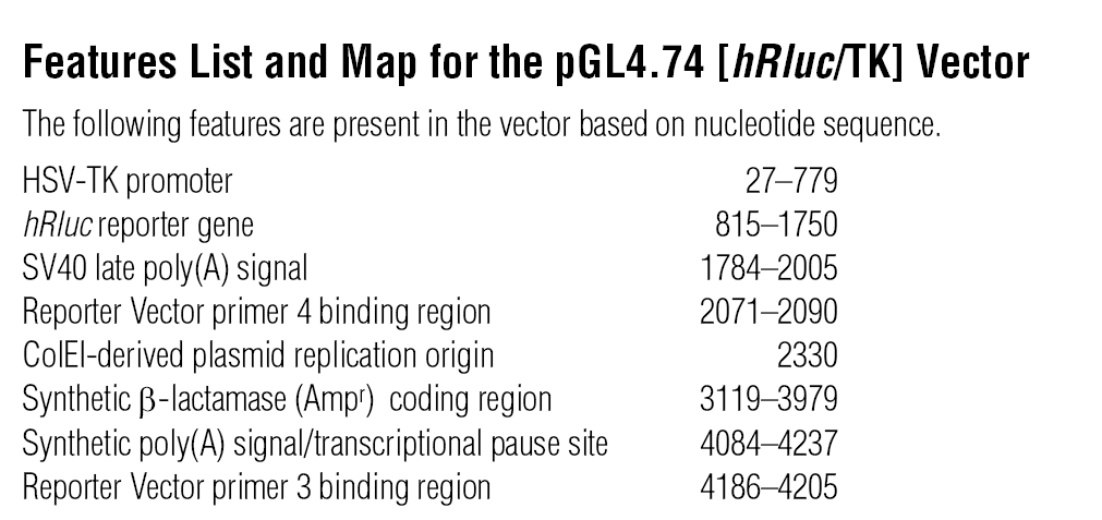 pGL4.74 载体特征